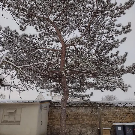 Dom wakacyjny Eco-logis Le 50, Maison Avec Jardins Et Terrasse Privatifs *