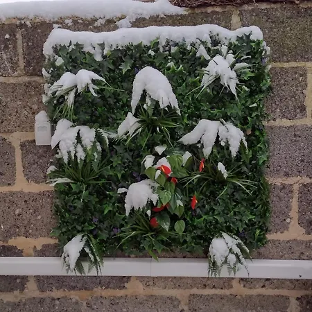Eco-logis Le 50, Maison Avec Jardins Et Terrasse Privatifs Dom wakacyjny *