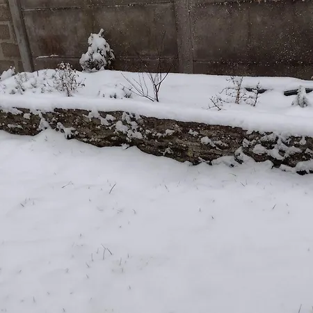 Eco-logis Le 50, Maison Avec Jardins Et Terrasse Privatifs * Mondeville (Calvados)