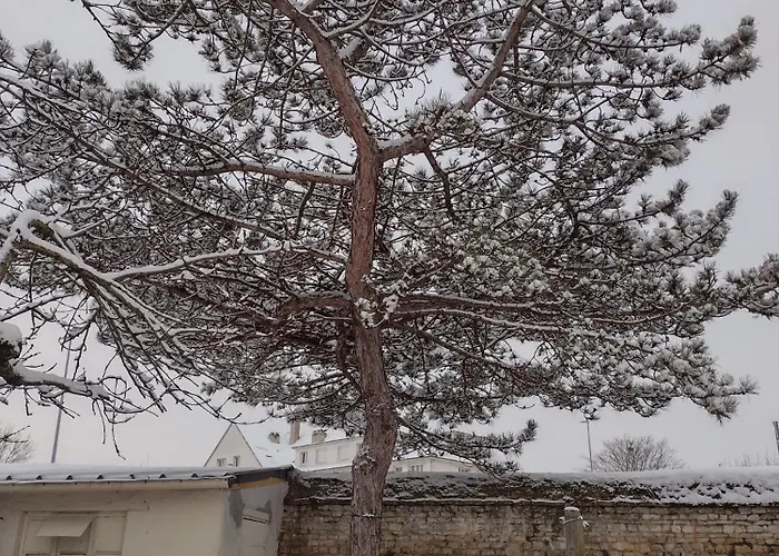 بيت للعطل Eco-logis Le 50, Maison Avec Jardins Et Terrasse Privatifs *